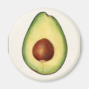 Avocado Magneet