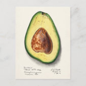 Avocado (Persa) Waterverf Briefkaart (Voorkant)
