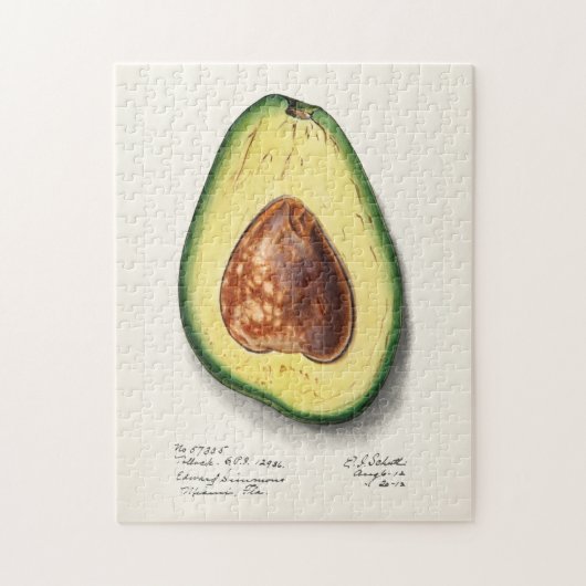 Avocado (Persa) Waterverf Legpuzzel (Verticaal)