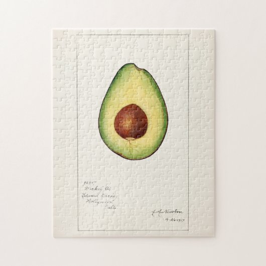 Avocado (Persea) Fruit Watercolor Schilderij Legpuzzel (Verticaal)