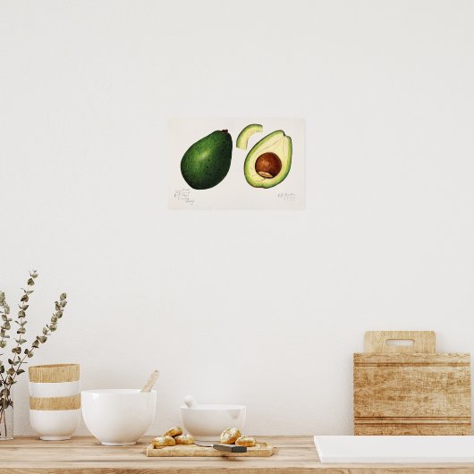 Avocado (Persea) — Waterverf van fruit Poster (Keuken)