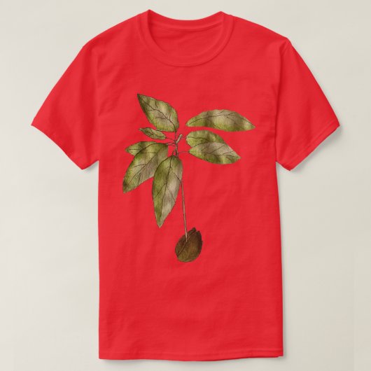 Avocado Plante Classic TShirt (Design devant)