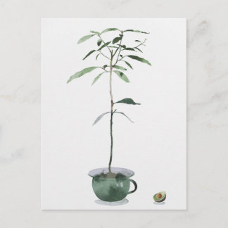 Avocado Tree Briefkaart