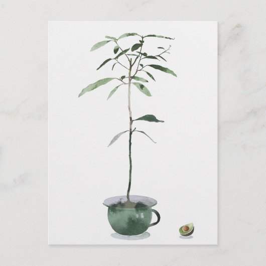Avocado Tree Briefkaart (Voorkant)