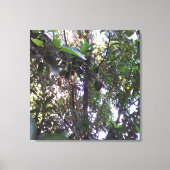 Avocado Tree Canvas Afdruk (Voorkant)