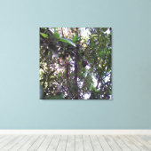 Avocado Tree Canvas Afdruk (Insitu (Houten vloer))
