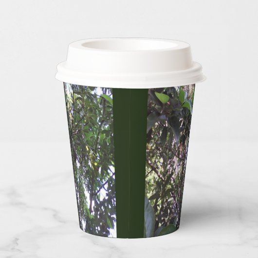 Avocado Tree Papieren Bekers (Rechts)