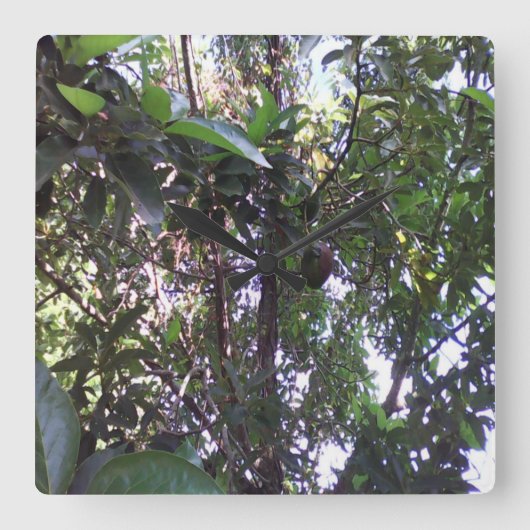 Avocado Tree Vierkante Klok (Voorkant)