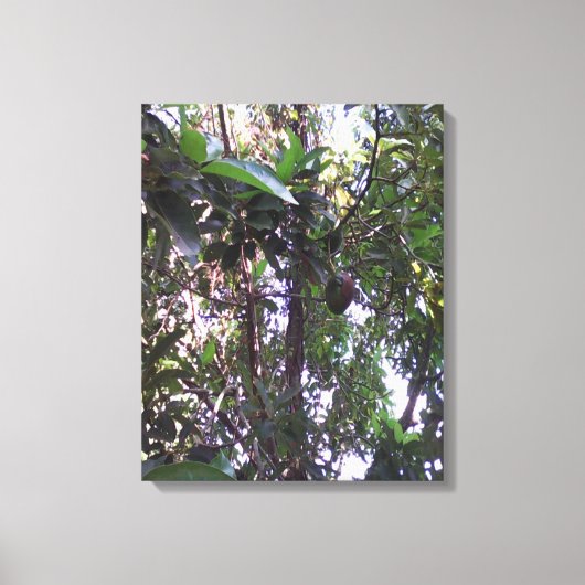 Avocadoboom Canvas Afdruk (Voorkant)