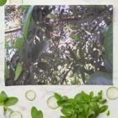 Avocadoboom Theedoek (Gevouwen)