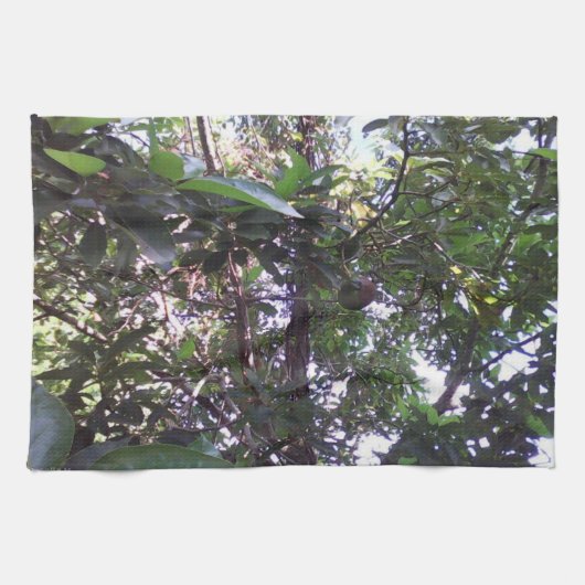 Avocadoboom Theedoek (Horizontaal)