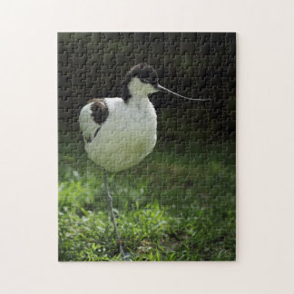 Avocet Legpuzzel