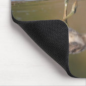 Avocetchick Muismat (Hoek)