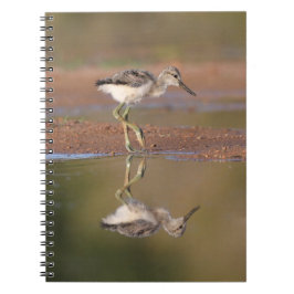 Avocetchick Notitieboek
