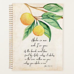 Avoir En Moi Des Oranges Fruiteuses