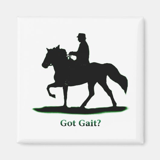 Avoir Gait Magnet (Devant)