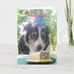 "Avoir ton gâteau et le manger aussi !" Ca Merci