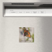 Avoir Un Magnet De Jour (In Situ (Lave-vaisselle))