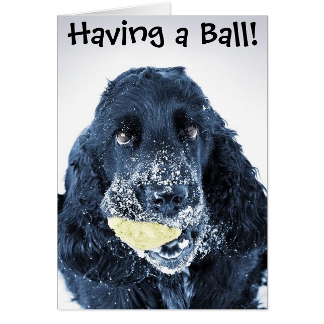 Avoir une boule ! (Devant)