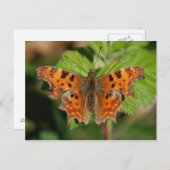 Avon gorge Comma-vlinder Briefkaart (Voorkant / Achterkant)
