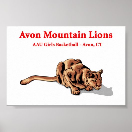 Avon Mountain Lions - Poster du club de basket-bal (Devant)