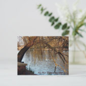 Avon River, Stratford-upon-Avon Briefkaart (Staand voorkant)