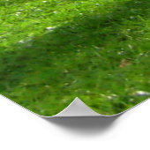 AVON RIVER UITZICHT ChristChurch NZ Poster (Hoek)