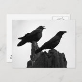 Avond Call Briefkaart (Voorkant / Achterkant)