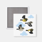 Avond Grosbeaks in de vlucht Magneet (Voorkant / Achterkant)