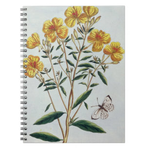 Avond Primrose, bord 73 uit 'Collectie Precie' Notitieboek