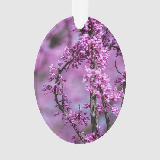 Avondale Redbud Art Ornament (achterkant)