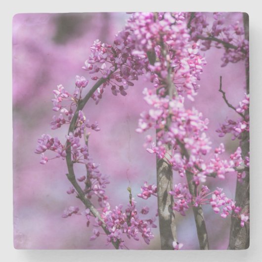 Avondale Redbud Art Stenen Onderzetter (Voorkant)