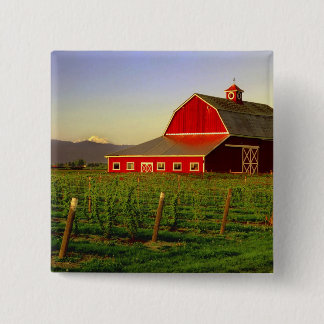 Avondse zon op een schuur in Washington Skagit Vierkante Button 5,1 Cm