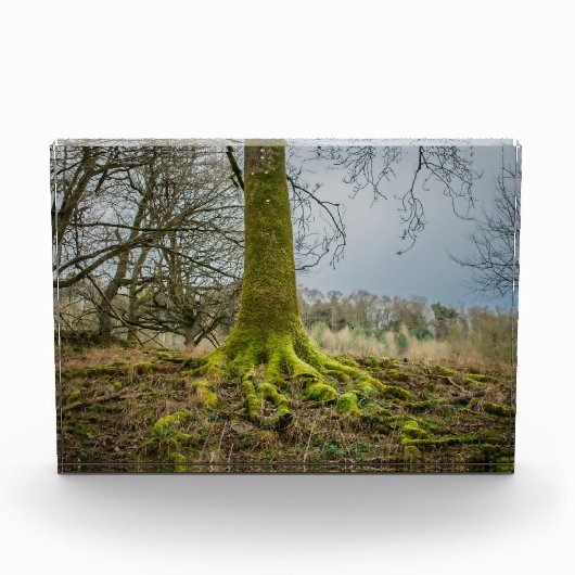 Avondstemming Fotoblokken (Voorkant)