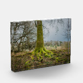 Avondstemming Fotoblokken (Links)