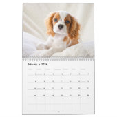 avonturen van de kalender Kingsley 2014 (Feb 2026)