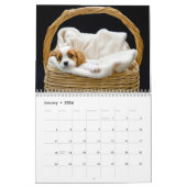 avonturen van de kalender Kingsley 2014 (Jan 2026)