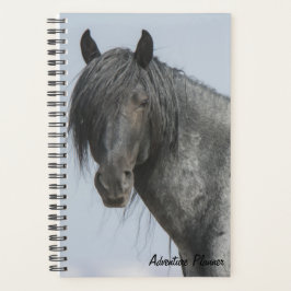 Avonturenplanner met Blue Zeus Planner