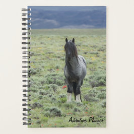 Avonturenplanner met Blue Zeus Planner