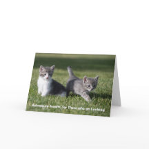Avontuur wacht op kitten notitiekaart