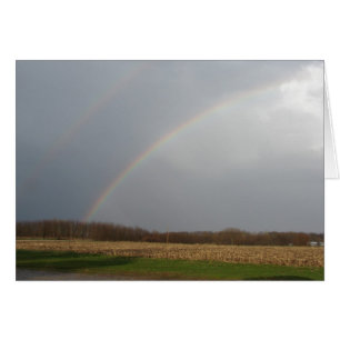 Avril Douches Apporter Rainbows