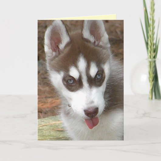 AW - Siberische Husky Verjaardag Kaart (Voorkant)