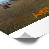 Awesome Buffalo Poster (Coin)