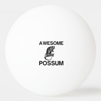 AWESOME POSSUM PINGPONGBALLEN