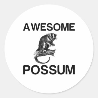 AWESOME POSSUM RONDE STICKER