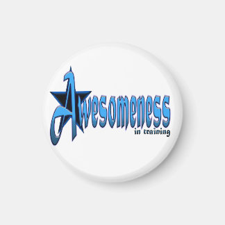 Awesomeness in Training Motivatie Magnet Magneet