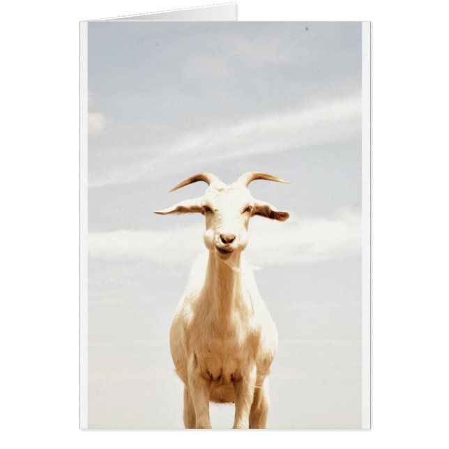 Awkward one (Devant)