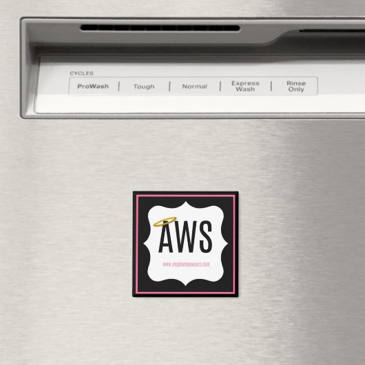 AWS aimant (In Situ (Lave-vaisselle))