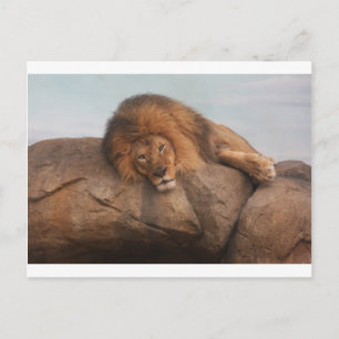 Awwsome Lion Briefkaart