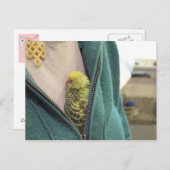 Awww, dus Cute!!!!!!!!! Briefkaart (Voorkant / Achterkant)